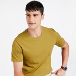 Plain Regular Fit Mens Solid Cotton T Shirt