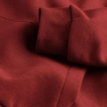 Cotton Fleece Solid Plain Hoodie